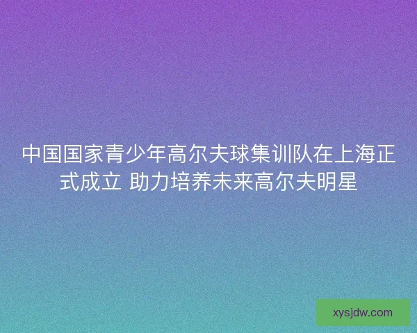 中国国家青少年高尔夫球集训队在上海正式成立 助力培养未来高尔夫明星